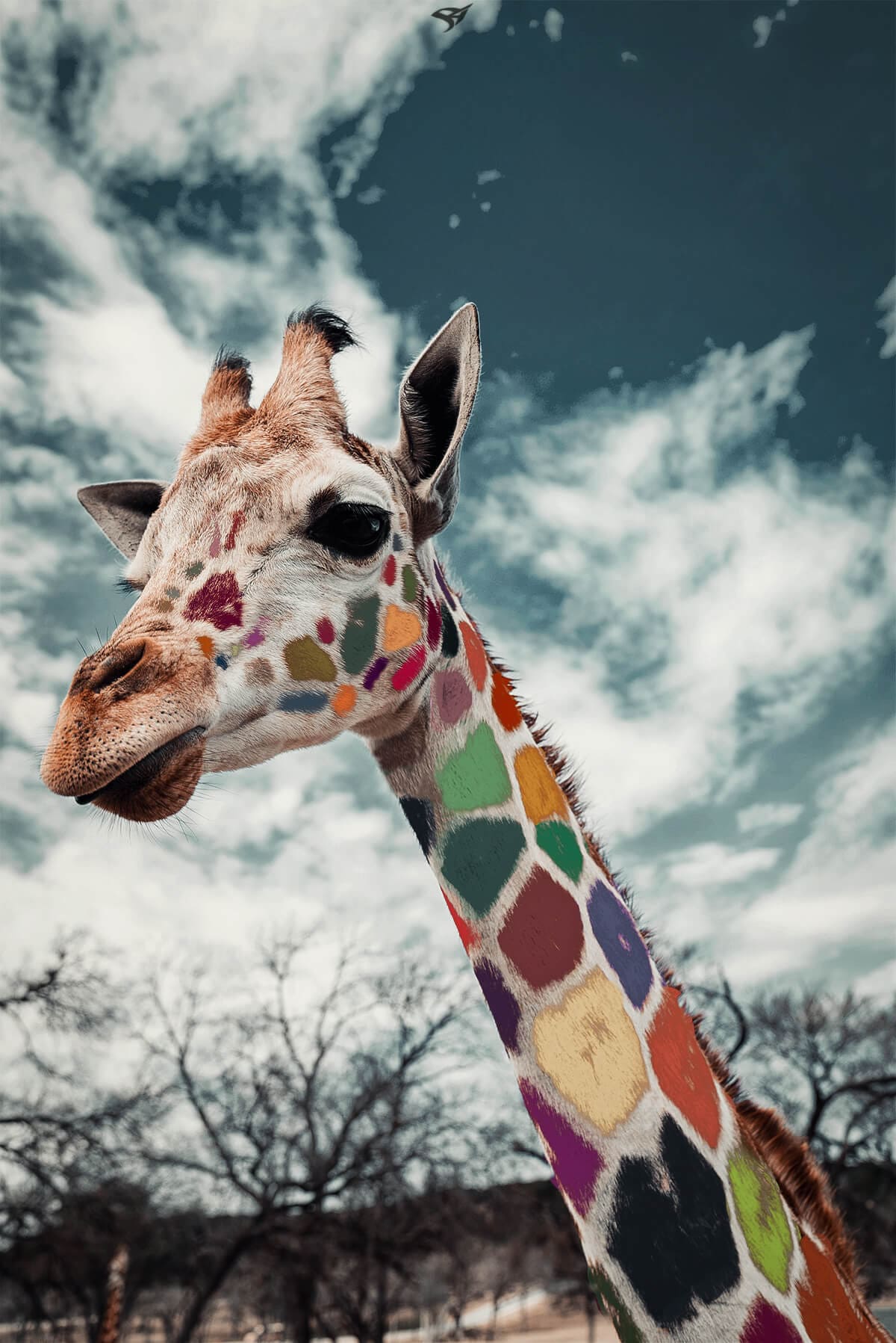 Colorful Giraffe